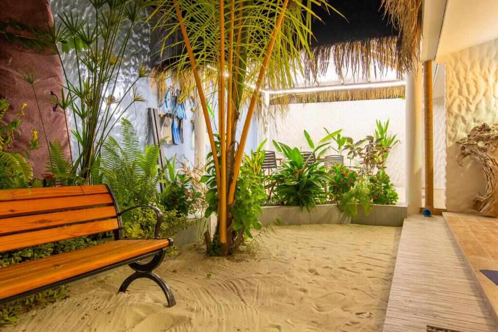 Sandy garden with palm trees at Trip Villa